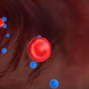 건강근력운동 이미지