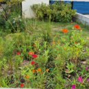 경주 쥬얼 풀빌라 이미지