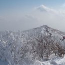 (주)태백산 이미지