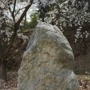 상주 운평리 구상화강암 | [ 경북 ] 2018, 상주 … 11. 운평리 구상화강암