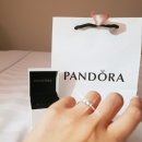 판도라 희망약국 | 🛍뉴질랜드에서 돈 쓴 것들(나스,뉴발,판도라,영양제 등)💵