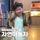 자연아 놀자 | 강릉 아이랑 다녀온 자연아놀자 강릉생태체험박물관