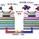 산화 태양광 아시아경제