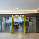 (주)키노케어 이미지