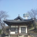 죽림서정이네