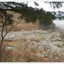 영포농장 이미지