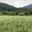 송현민박 이미지