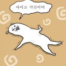 믿음한의원 이미지