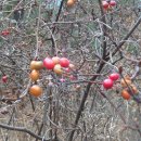 목은이색기념관 이미지