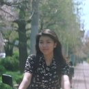 이와이 슌지 감독의 "4월이야기" : 감상평 이미지