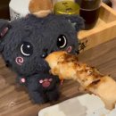 덕분이야모든개 | 251116, 엔시티위시 덕분에 신칸센도 타요.. 카가와 콘서트 후기