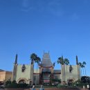 Beauty in Dog's | 디즈니월드_할리우드 스튜디오