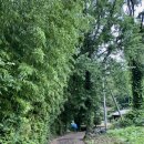 무무네 스테이(MUMUNE STAY) | 자연 속 마당 있는 전원주택을 즐길 수 있는 보성 감성 숙소 [stay보성] 내돈내산 후기