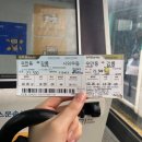 버스정류장 06-228 | 강릉 Day 1