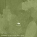 청춘위스키