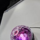 충효예 무술관 이미지