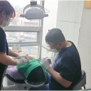 새롬탑치과의원 이미지