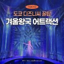 도쿄 디즈니씨 판타지 스프링스 겨울왕국 어트랙션 안나 엘사 프로즌 저니 후기 및 자리 꿀팁