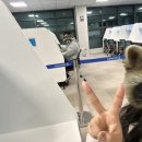 청룡관 | 메리 12월, 25년 바바이 ✨