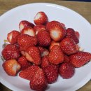 딸기노래연습장 | 4월 강릉당일치기 여행 기록_강릉 내돈내산 맛집, 카페