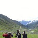 로시난테 이미지