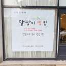 앨리스;달팡이 이미지