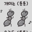 뚠뚠 - 서귀포시 | 뚠뚠
