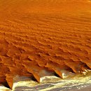나미브(NAMIB) 이미지