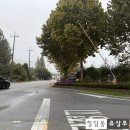 뉴스프링빌골프장(대중형) | [이천 뉴스프링빌cc] 회원제 몽블랑 올림푸스 코스 솔직 후기 (Feat. 악명 높은 220m 파3)