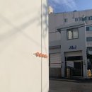 서정적인호텔 부산영도점 | 서정적인호텔 부산영도점 B타입 | 부산 10만원대 감성숙소 영화관같은 숙소 후기