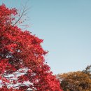 (주)신세계푸드 부산행복연합기숙사 | The end of era