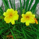 경주대학교박물관 이미지