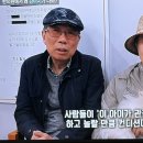 동물제중원금손이 동물병원 | 강아지 디스크·척추 문제 침 치료로 해결… 생방송투데이 동물제중원금손이