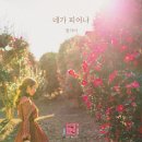 정가이