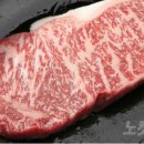 돈마블링 이미지