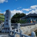 충효사 | 창녕 영축산(영취산) 법성사주차장~ 사리마을~ 충효사 구봉사~정상 등산 시간대별 상세 후기