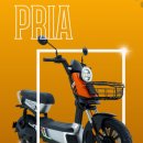 프리아(pria)
