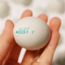 통일청란 이미지