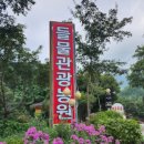 들물 관광농원 이미지