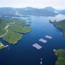 호수 태양광발전소 이미지