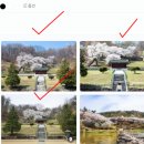 부농상사 이미지