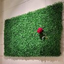 광수육회 이미지