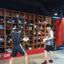 용인대에이스복싱클럽 이미지