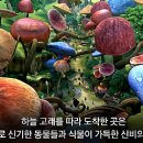 라라숲 이미지
