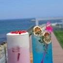 장사어촌계(장사어촌체험마을) 이미지