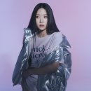 니콜콜렉션
