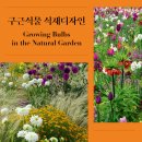 판 디자인 이미지