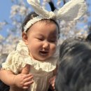 남양3호 근린공원 이미지