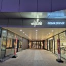 수원-1007 | 호불호가 없는 스테이크의 왕자 아웃백 광교점 후기! 비싼 값어치는 한다!