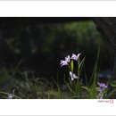 춘하추동